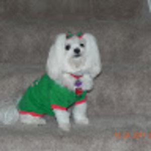 Meet your Posher, Donna